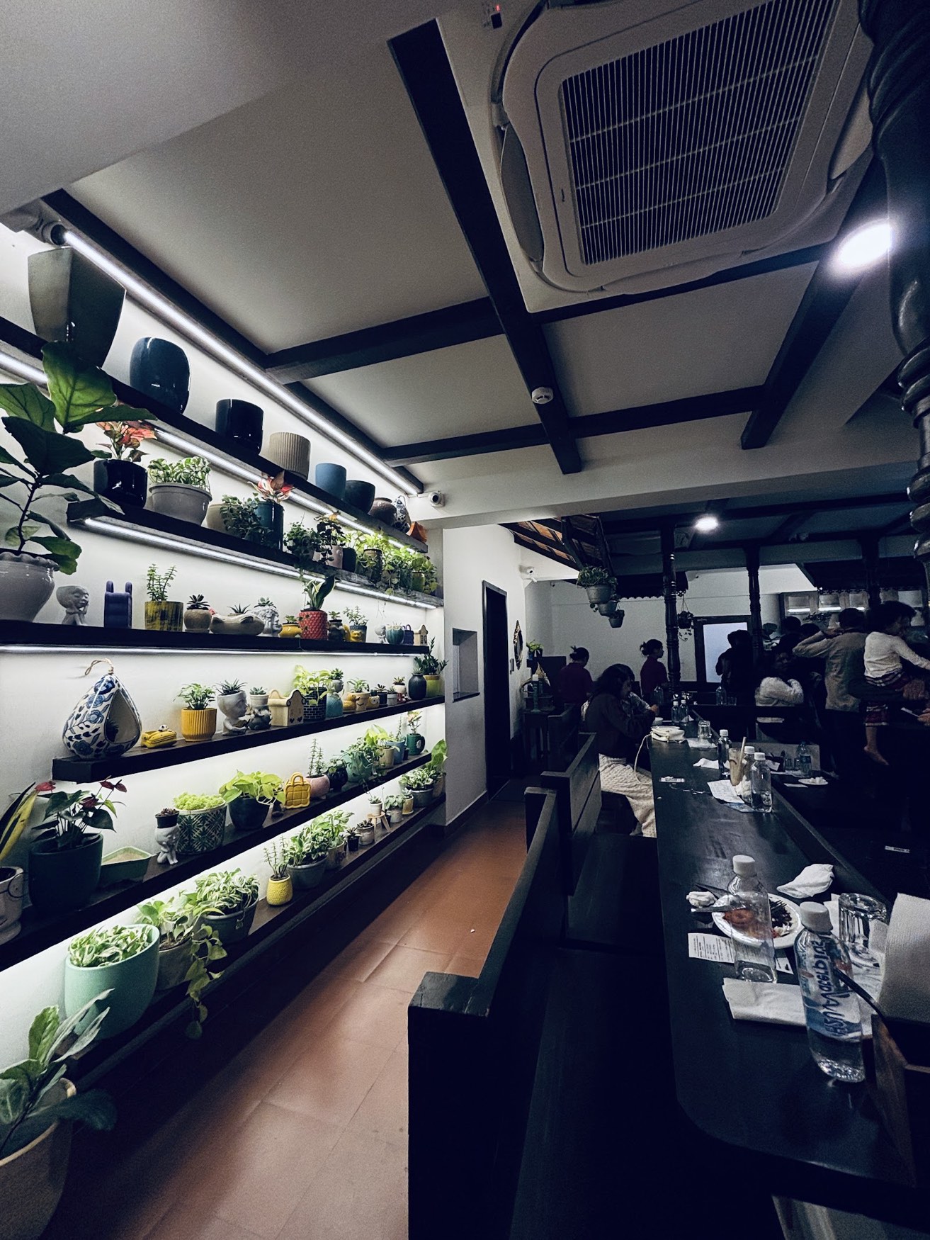 The plant wall at night, shelves glowing green, diners seated along the counter opposite